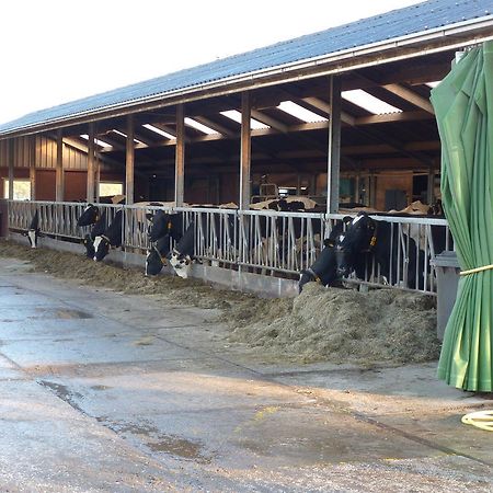 Boerderij "De Verwondering" Goudriaan ภายนอก รูปภาพ