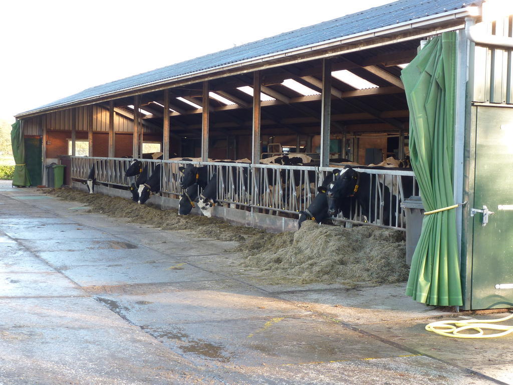 Boerderij "De Verwondering" Goudriaan ภายนอก รูปภาพ