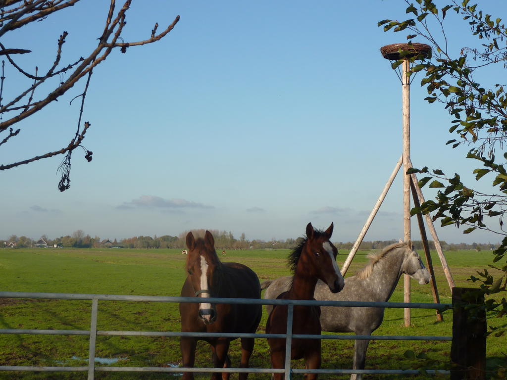 Boerderij "De Verwondering" Goudriaan ภายนอก รูปภาพ