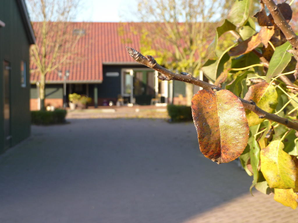 Boerderij "De Verwondering" Goudriaan ภายนอก รูปภาพ