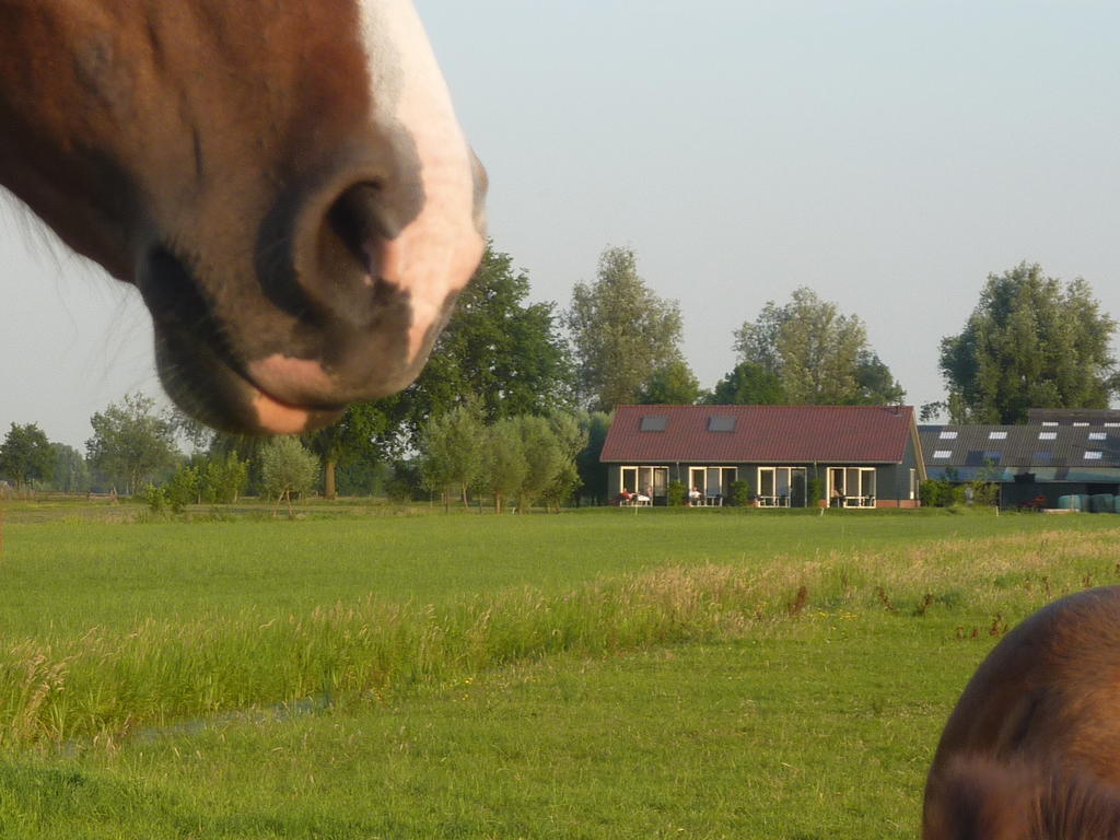 Boerderij "De Verwondering" Goudriaan ภายนอก รูปภาพ